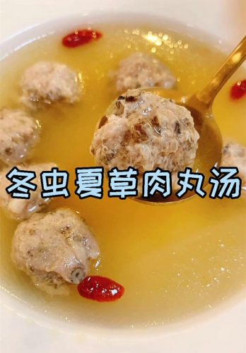 冬虫夏草的美味吃法——肉丸汤